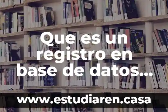 Que es un registro en base de datos excel