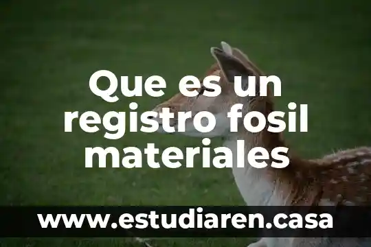 Fosil o petrileo que es mas ciejo 5 Que es un registro fosil materiales