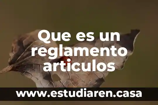 Qué es el concepto de reglamento 4 Que es un reglamento articulos