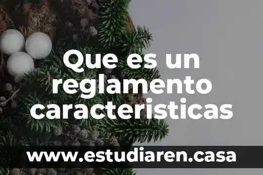 Qué es el concepto de reglamento 3 Que es un reglamento caracteristicas