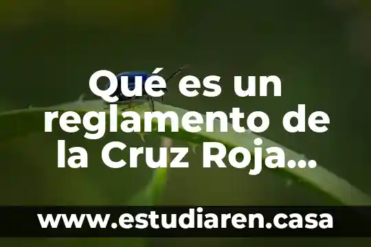 Qué es un reglamento de la Cruz Roja Mexicana