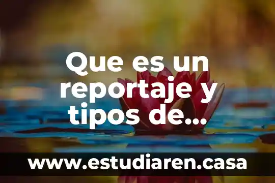 Que es inteligencia y tipos de inteligencia 4 Que es un reportaje y tipos de reportaje