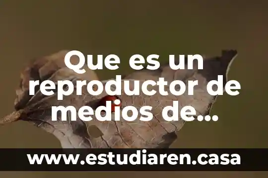 Qué es y para qué sirve el sistema reproductor masculino 3 Que es un reproductor de medios de windows