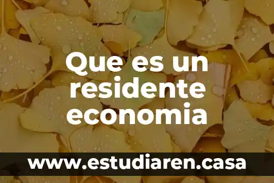 Que es un residente economia