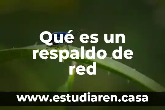 Qué es un respaldo de red