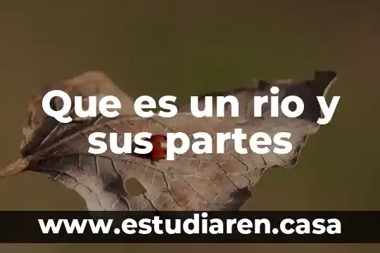 Que es un rio y sus partes