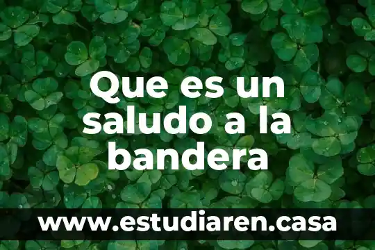Qué es el juego denominado tochito bandera 6 Que es un saludo a la bandera