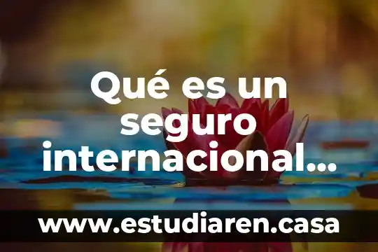Que es el seguro de arrendamiento 3 Qu茅 es un seguro internacional bupa
