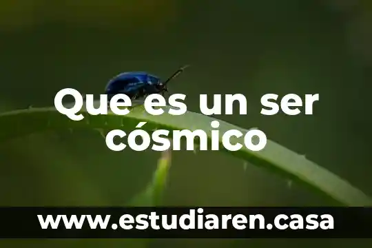 Que es ser contrtistas de la constructora lintel 8 Que es un ser cósmico