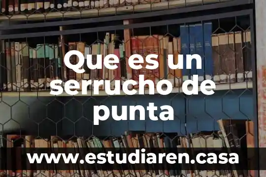 Que es la punta de lomo 6 Que es un serrucho de punta