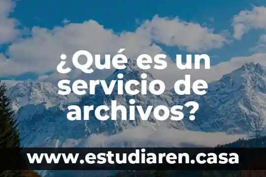 Archivos ocr que es 3 ¿Qué es un servicio de archivos?