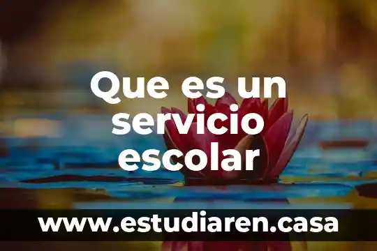 Que es proyecto de gestion escolar 8 Que es un servicio escolar