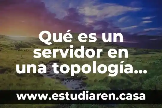 Que es la mascara de red y subred 8 Qué es un servidor en una topología de red