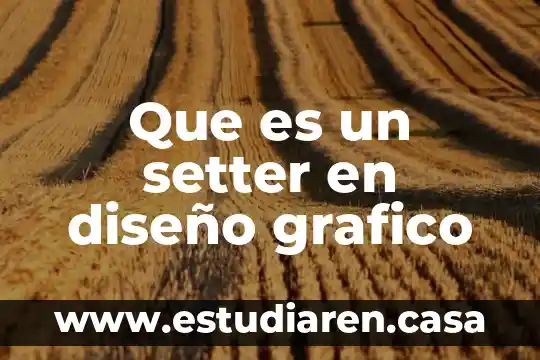 Que es un setter en diseño grafico