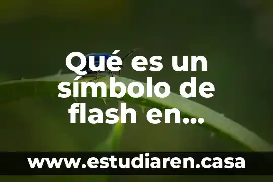 Qué es un símbolo de flash en informática