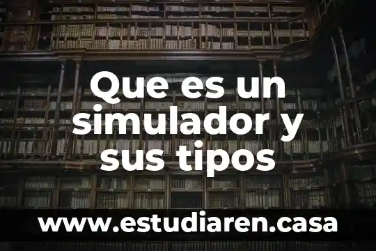 Que es un simulador y sus tipos