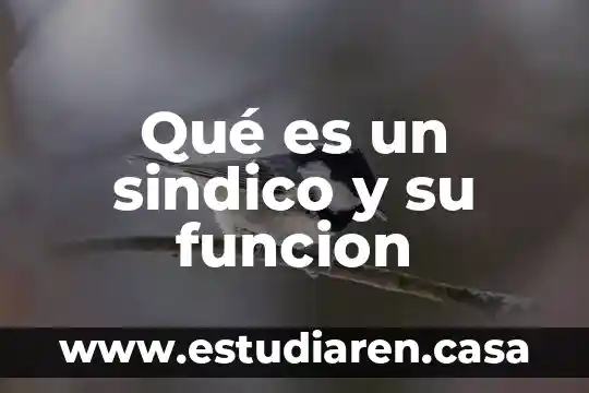 Que es la funcion de las vacunas 5 Qué es un sindico y su funcion