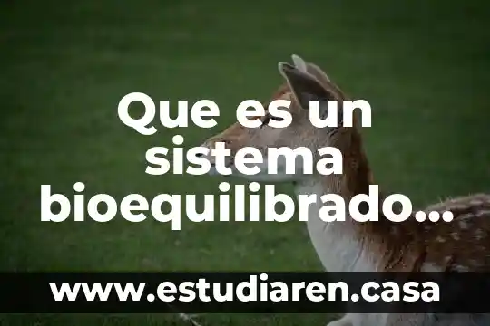 Que es un nucleo en un sistema operativo 3 Que es un sistema bioequilibrado y un desequilibrado