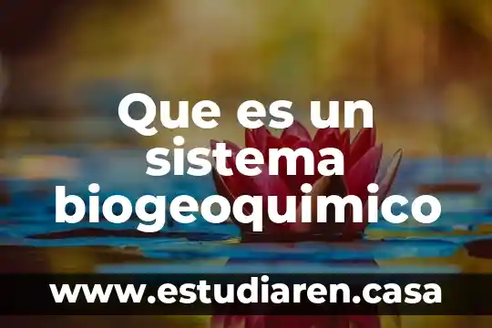 Que es el sistema galactico 3 Que es un sistema biogeoquimico