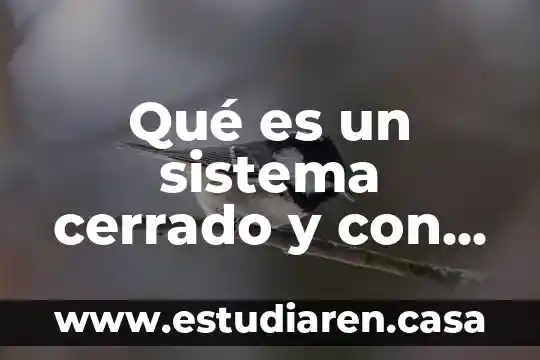Qué es un sistema cerrado y con qué otro nombre