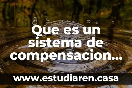 Que es la velocidad variable 3 Que es un sistema de compensacion variable