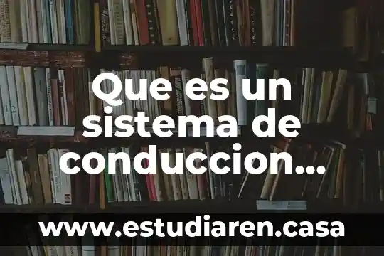 Que es un sistema de conduccion electrica
