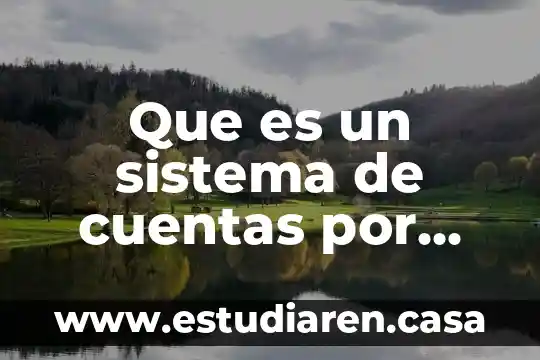 Que es un sistema de cuentas por pagar