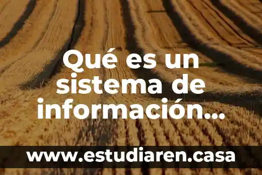 Qué es un sistema de información autor