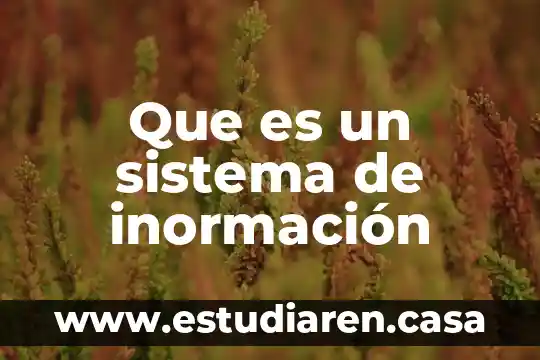 Que es falsa alarmar del sistema inmune 8 Que es un sistema de inormación