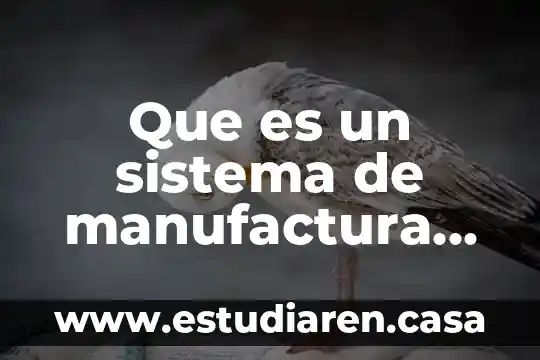 Que es un sistema de manufactura holonico