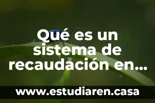 Por qué crees que es importante la recaudación fiscal 3 Qué es un sistema de recaudación en contabilidad gubernamental