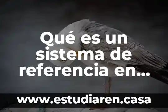 Que es la garantia mercado libre 5 Qué es un sistema de referencia en mecánica