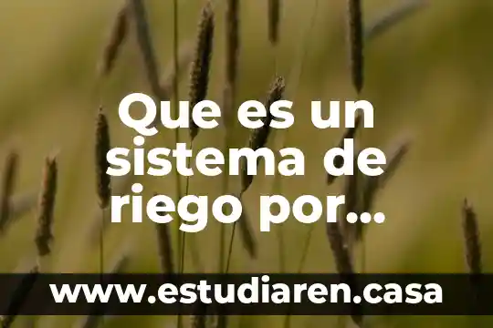 Que es un sistema de riego por drenaje