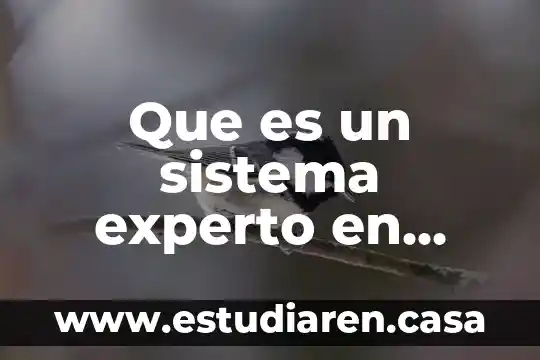 Que es rh como experto administrativo 5 Que es un sistema experto en programacion logica