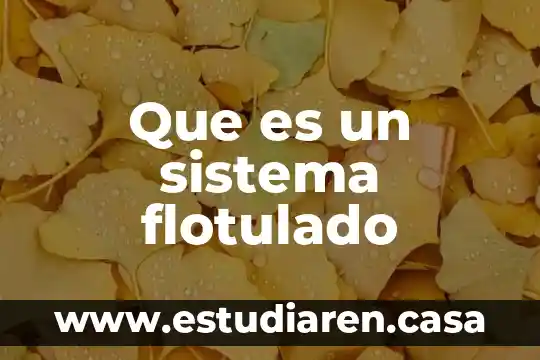 Que es el sistema incorporado a la unam 4 Que es un sistema flotulado