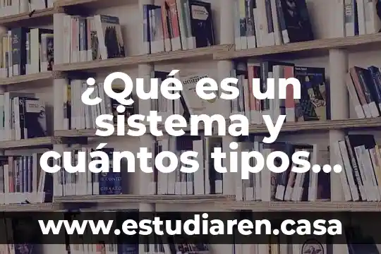 ¿Qué es un sistema y cuántos tipos hay?