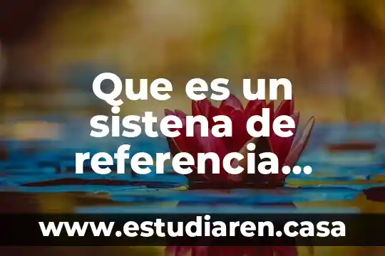 Que es un sistena de referencia unam