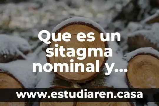 Que es un sitagma nominal y ejemplos