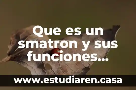 Qué es la cecude y funciones 5 Que es un smatron y sus funciones smatron