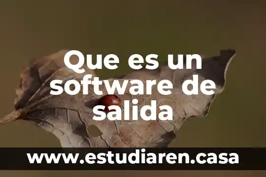 Que es salida spdif 8 Que es un software de salida
