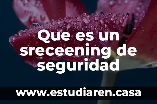 Que es un sreceening de seguridad