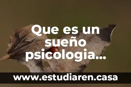 Que es un sueño psicologia textos de divulgacion