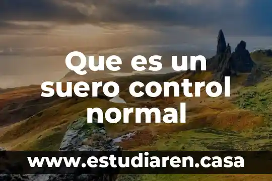 Que es volumen de control para coordenadas cartcians 7 Que es un suero control normal