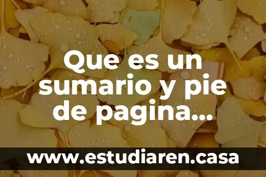 Que es bueno para el ardor del pie 7 Que es un sumario y pie de pagina ensayo ejemplo