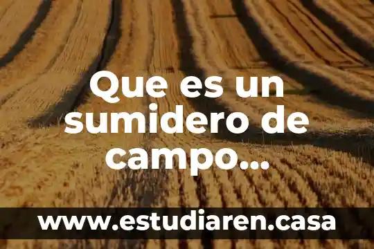 Que es un sumidero de campo electrico