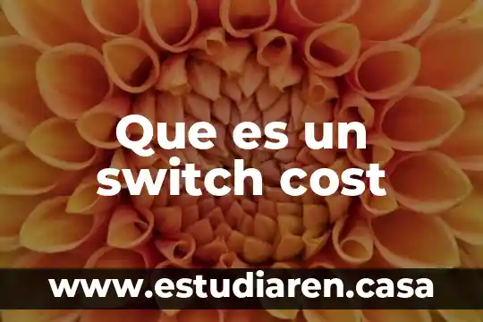 Que es un switch cost