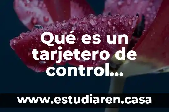 Que es el hardware key control mode 4 Qué es un tarjetero de control prenatal