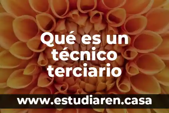 La ingle femenina que es 5 Qué es un técnico terciario