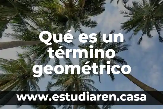 Qué es un término geométrico