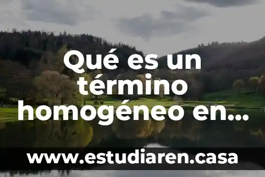 Que es el contrato audiovisual 5 Qué es un término homogéneo en álgebra